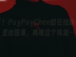 又来了！PuyPuyChan的在线新作，裤里丝图集，瞧瞧这个味道…