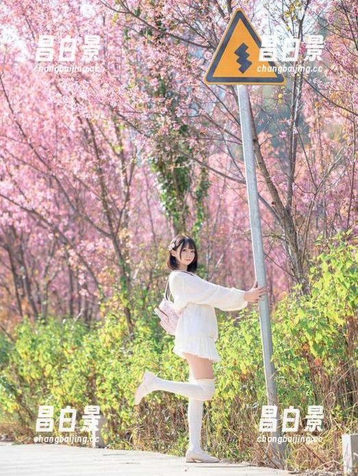 nagesa魔物喵的海风少女日记：免费图片来啦，别走开！-昌白景